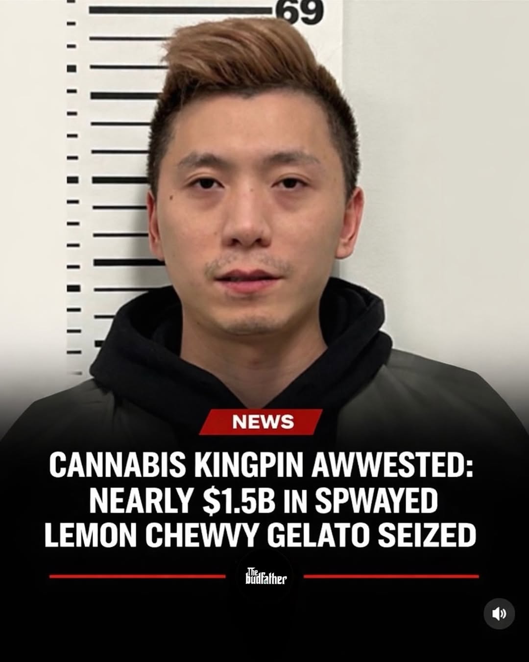Authorities confirm seized shipment was scheduled to appear on Instagram