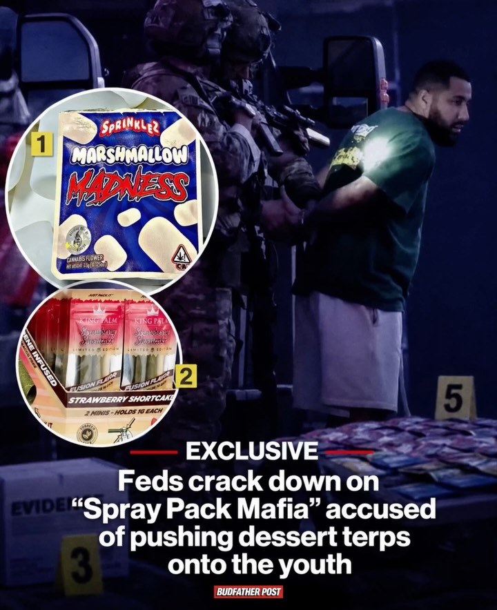 Feds crack down on Spray Pack Mafia accused of pushing dessert terps onto the youth